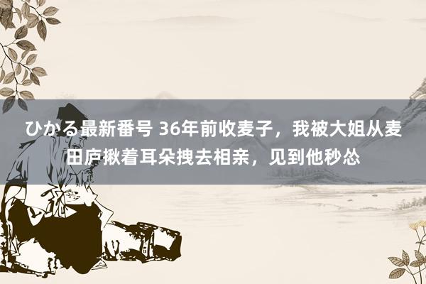 ひかる最新番号 36年前收麦子,我被大姐从麦田庐揪着耳朵拽去相亲,见到他秒怂