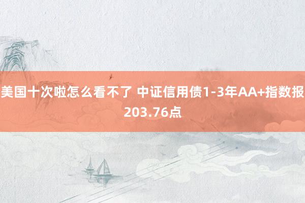 美国十次啦怎么看不了 中证信用债1-3年AA+指数报203.76点