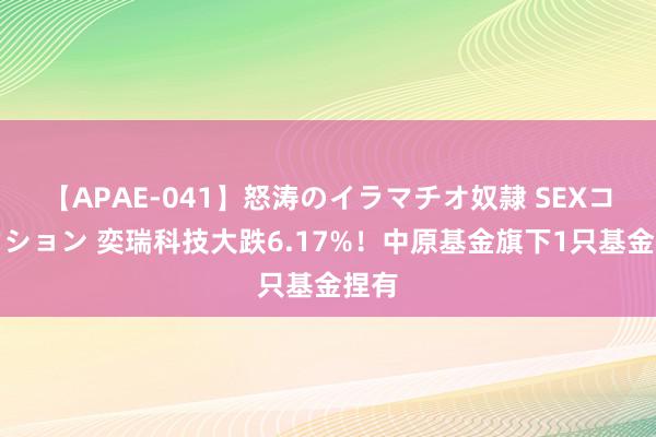 【APAE-041】怒涛のイラマチオ奴隷 SEXコレクション 奕瑞科技大跌6.17%!中原基金旗下1只基金捏有