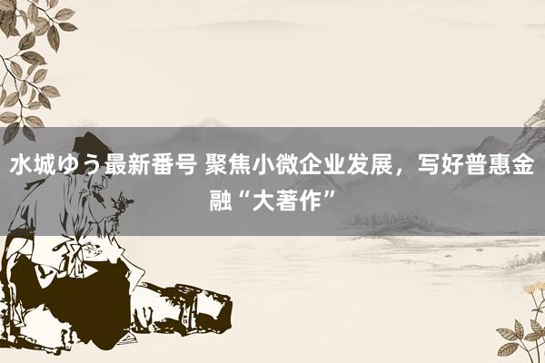 水城ゆう最新番号 聚焦小微企业发展,写好普惠金融“大著作”