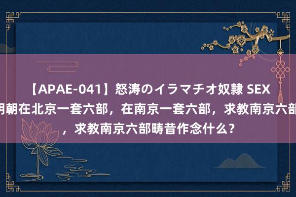 【APAE-041】怒涛のイラマチオ奴隷 SEXコレクション 明朝在北京一套六部,在南京一套六部,求教南京六部畴昔作念什么?