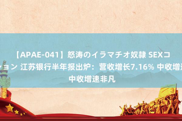 【APAE-041】怒涛のイラマチオ奴隷 SEXコレクション 江苏银行半年报出炉:营收增长7.16% 中收增速非凡