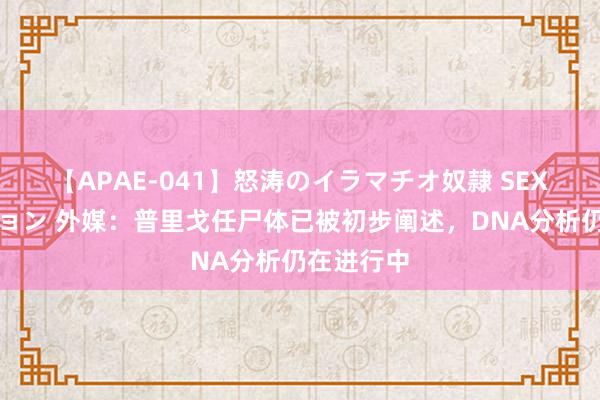 【APAE-041】怒涛のイラマチオ奴隷 SEXコレクション 外媒:普里戈任尸体已被初步阐述,DNA分析仍在进行中