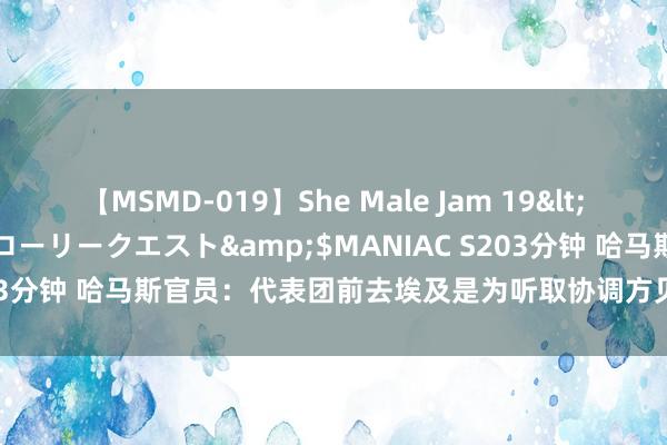 【MSMD-019】She Male Jam 19</a>2008-08-04グローリークエスト&$MANIAC S203分钟 哈马斯官员:代表团前去埃及是为听取协调方见地,并无新