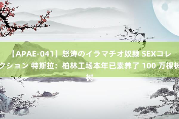 【APAE-041】怒涛のイラマチオ奴隷 SEXコレクション 特斯拉:柏林工场本年已素养了 100 万棵树
