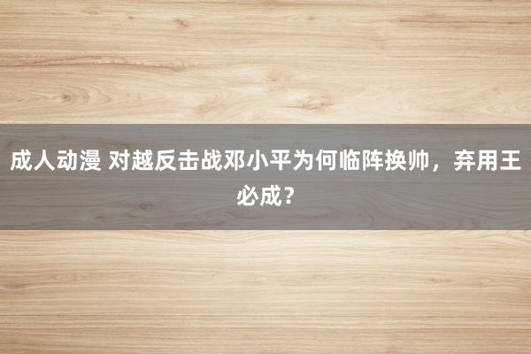 成人动漫 对越反击战邓小平为何临阵换帅,弃用王必成?