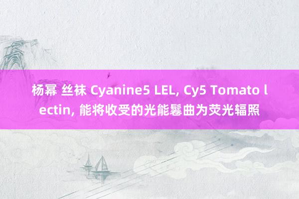 杨幂 丝袜 Cyanine5 LEL, Cy5 Tomato lectin, 能将收受的光能鬈曲为荧光辐照