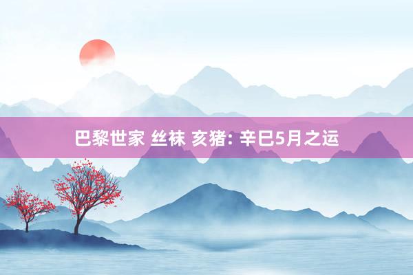 巴黎世家 丝袜 亥猪: 辛巳5月之运